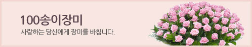 100송이장미
